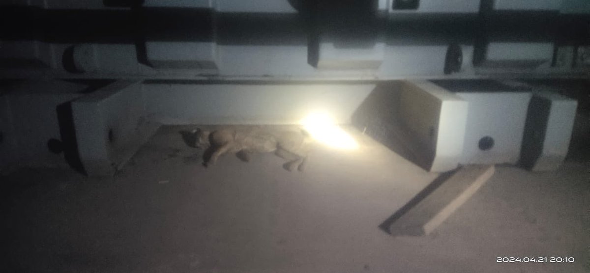 AeLangerhouse's tweet photo. @abidrazvi @TsspdclCorporat @kausarmohiuddin @asadowaisi @gadwalvijayainc Dear consumer

Cat fallen on 33/11kv langer house SS incoming. Supply restore with in 15 mins. 
For fast redreasal of complaints please contact below mentioned numbers
Langer house Foc : 9490619784
AE LANGER HOUSE : 9440813041 https://t.co/xOqpOKvO79