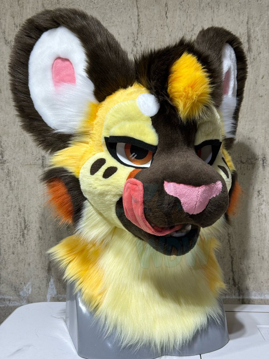 Here she is! The winner of the head giveaway from February was Savvy! 😍

#furry #fursuit #fursuitmaker #wilddogworks