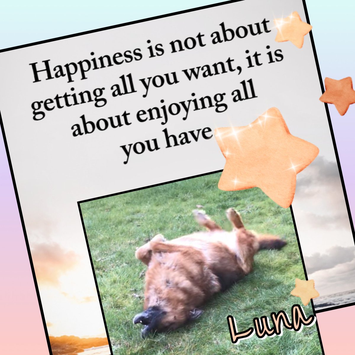 ✨My dog wisdom for today!✨ Love all of you, friends! 💕
