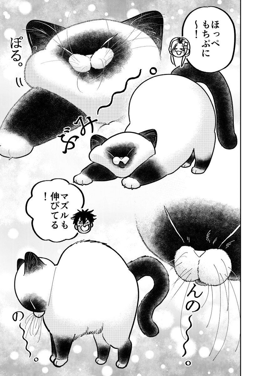 野良猫の可愛さ談義にうまく入れない元極道の話。

(3/3)

#漫画がよめるハッシュタグ 