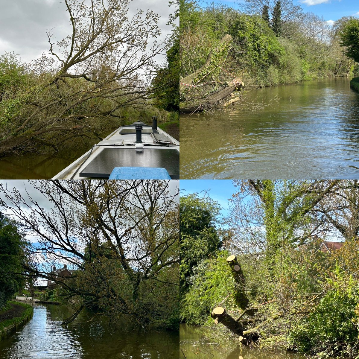 Credit where it’s due @CRTNorthWest Your guys did a great job of sorting the fallen tree on the T&M near Wheelock. My before/after pics below. 👏👏👏