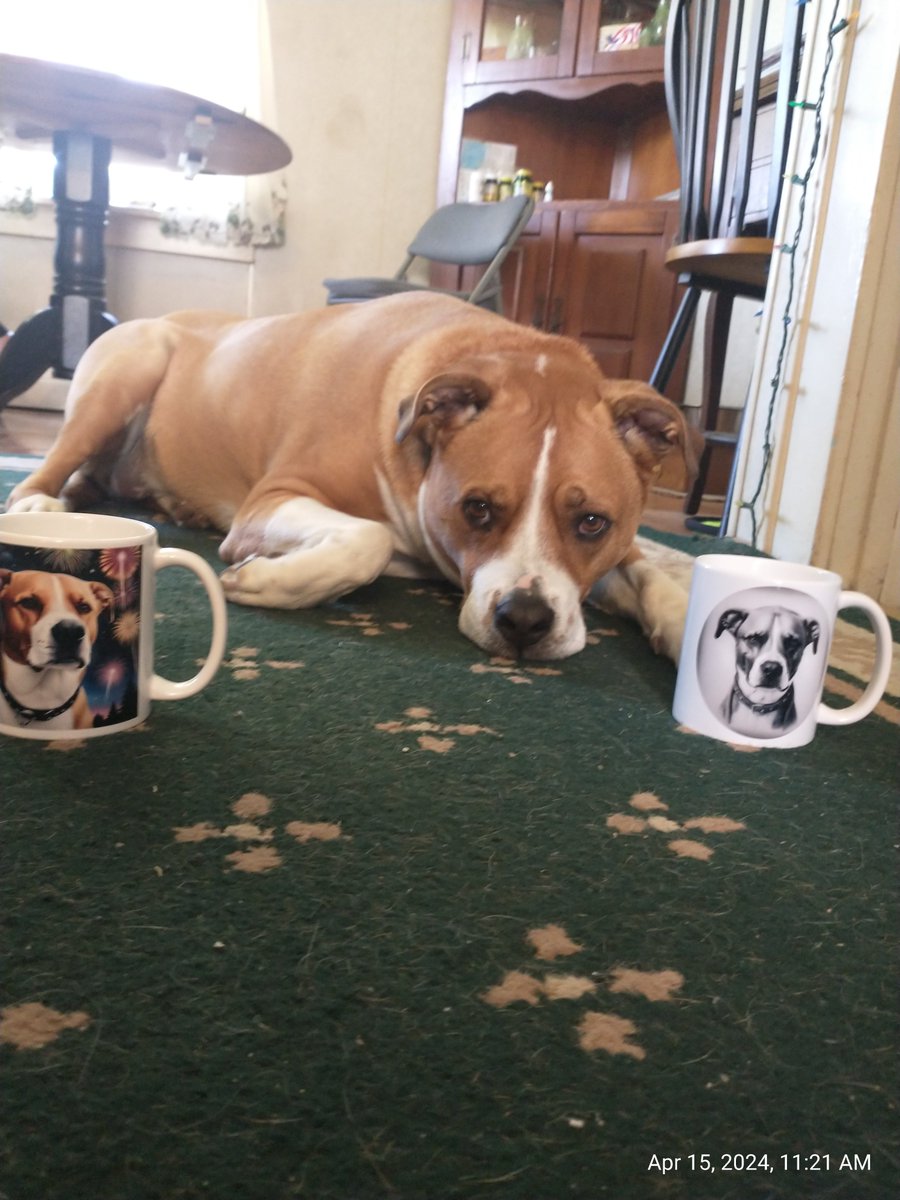 pugmugai's tweet photo. "Received my mugs today, and wanted to tell you that was really fast! Also wanted to say thank you for doing a nice job on them. They really look great." 

- Andy and his dog Echo (happy PugMug customers)

#pugmugai #dogmugs #happycustomer #customerreview https://t.co/6P27nFWVxP