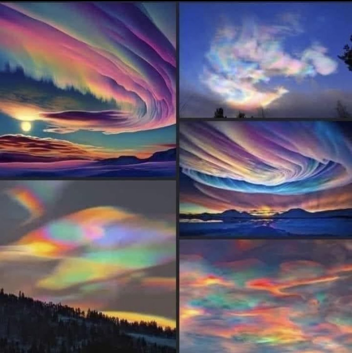 Janet Horvath tweet media