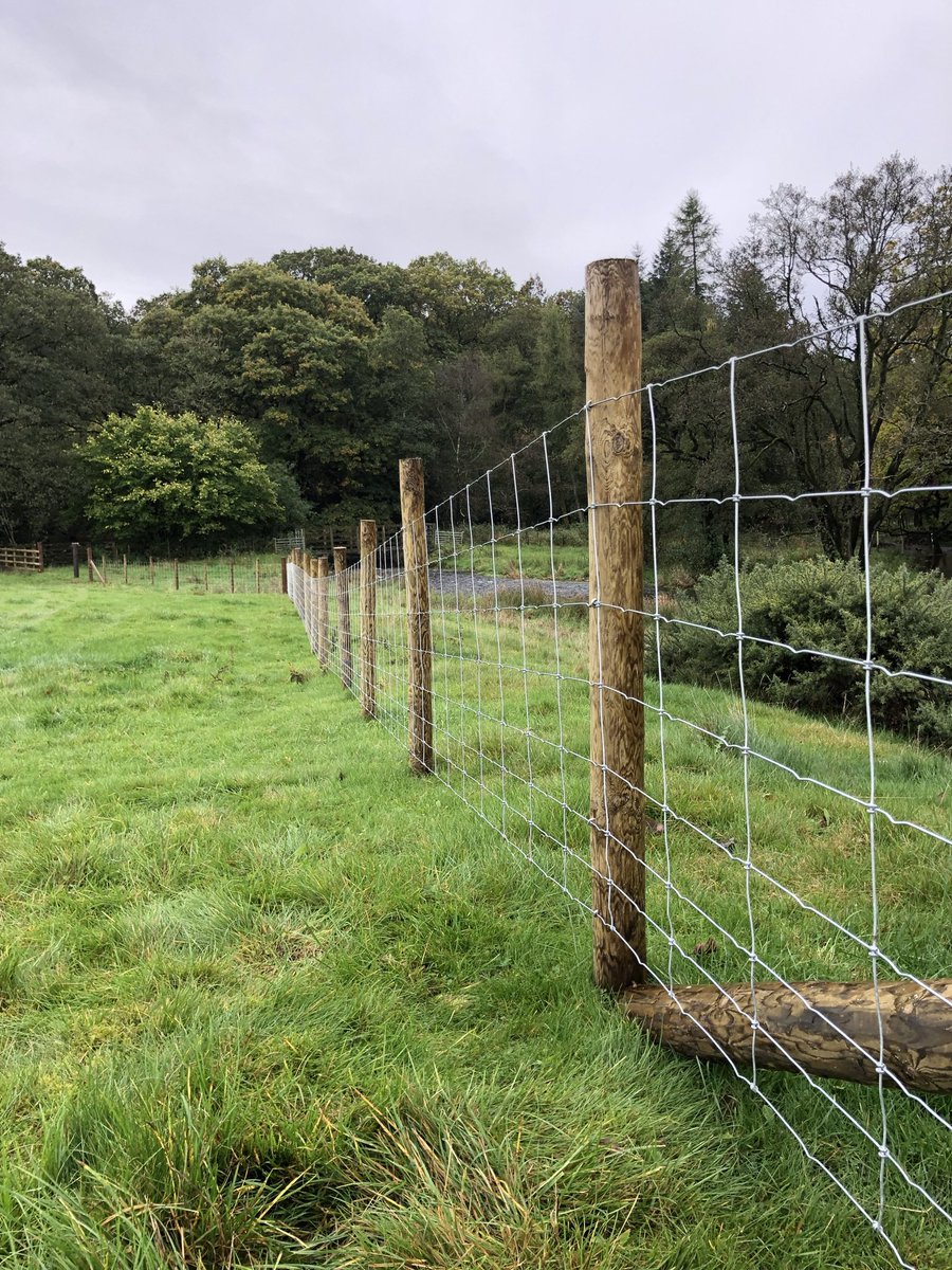 James Robinson tweet media