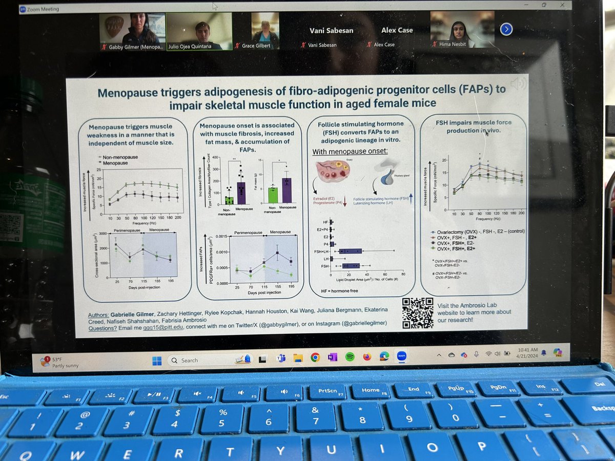 Enjoyed presenting at @MSOSOrtho #msos2024 this morning!! In short, our data suggest the rise in FSH with menopause contributes to muscle weakness in females @PittCMU_MSTP #doubleDoc