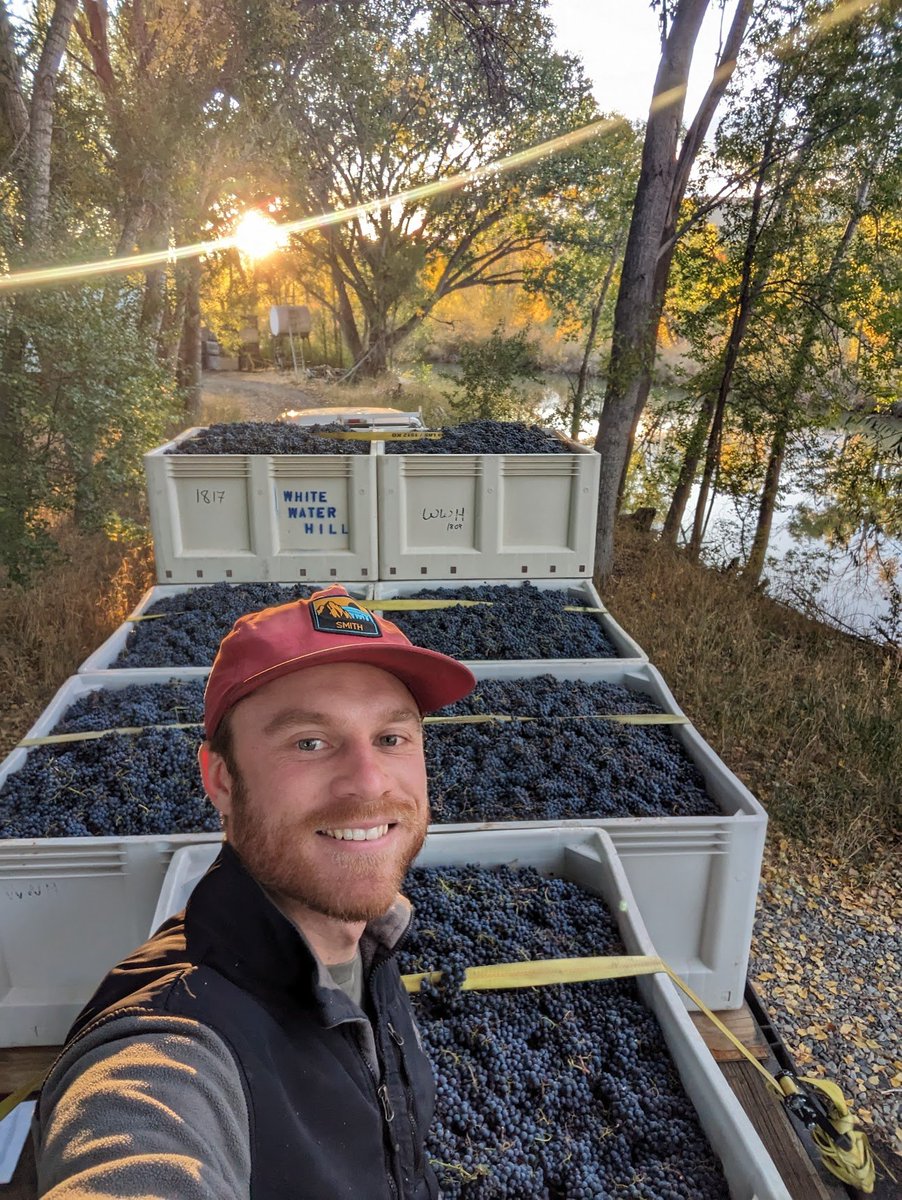 Ever wondered why that glass of wine gives you a headache? 

It’s not necessarily the wine itself, but the ADDITIVES

Here’s why natural wine is 10x healthier than regular wine: