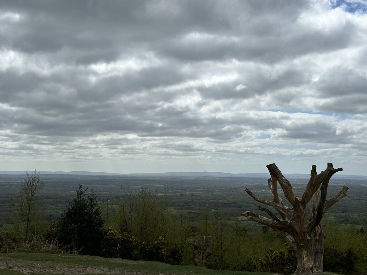 the_flute_tutor's tweet photo. Very cold walk today but thankfully sheltered in the woods #Surrey #LeithHill #Wotton #FridayStreet #AbingerCommon #HolmburyStMary https://t.co/0C3qRC0VF1