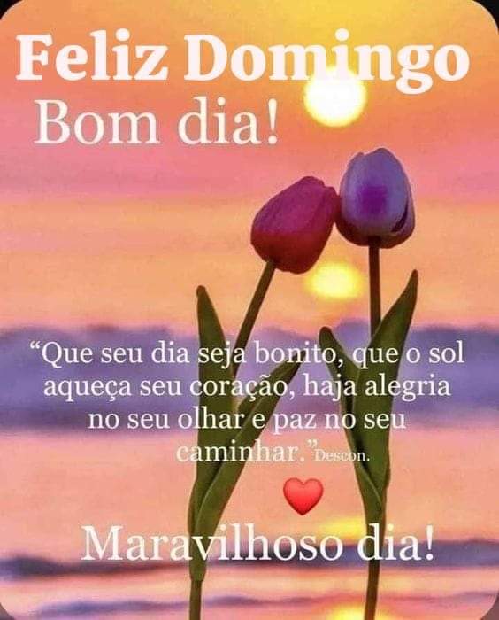 lindo bonito Josue (@lindobonitojos1) on Twitter photo 