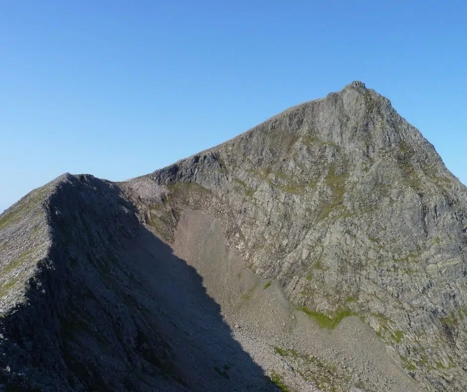 Iain Cameron tweet media