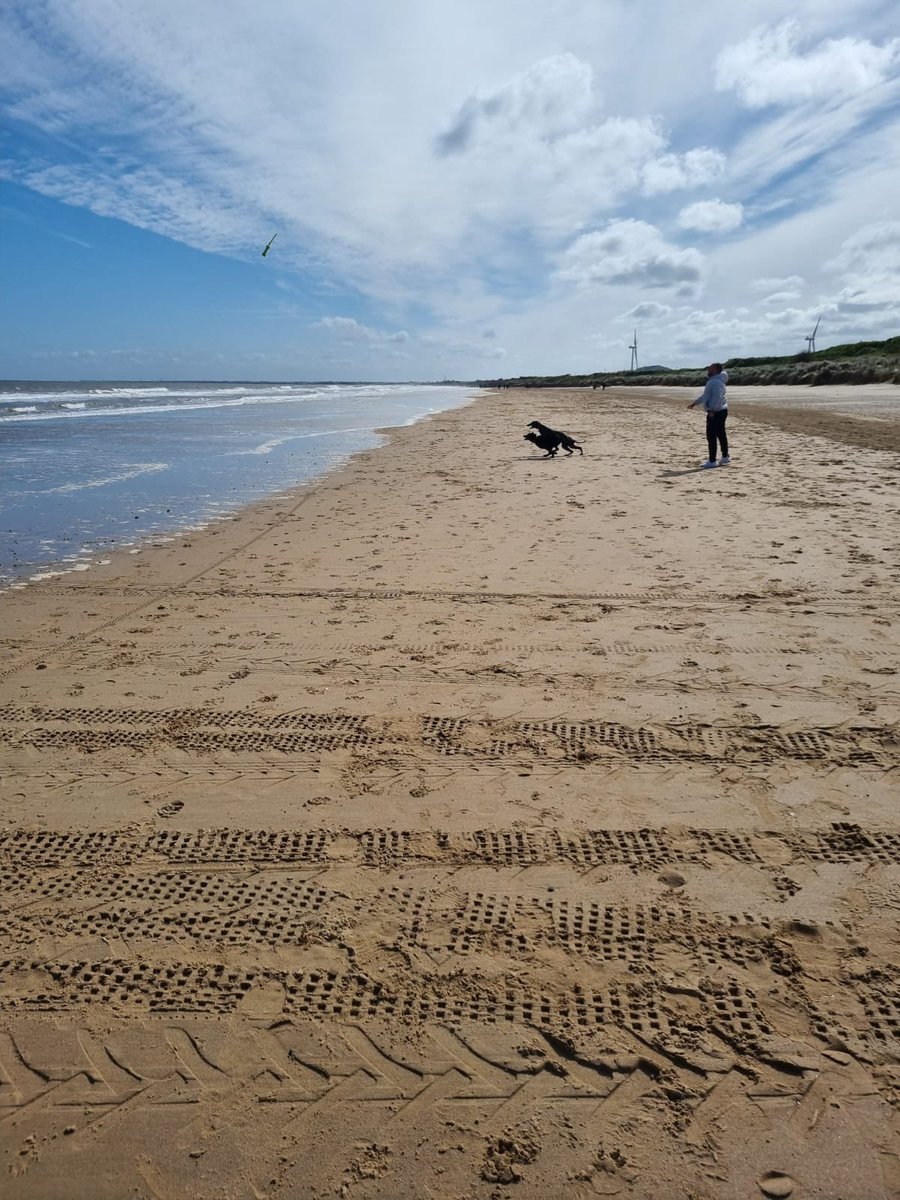 Nice little get away with the family. Dogs absolutely losing their minds at the beach 🏖️