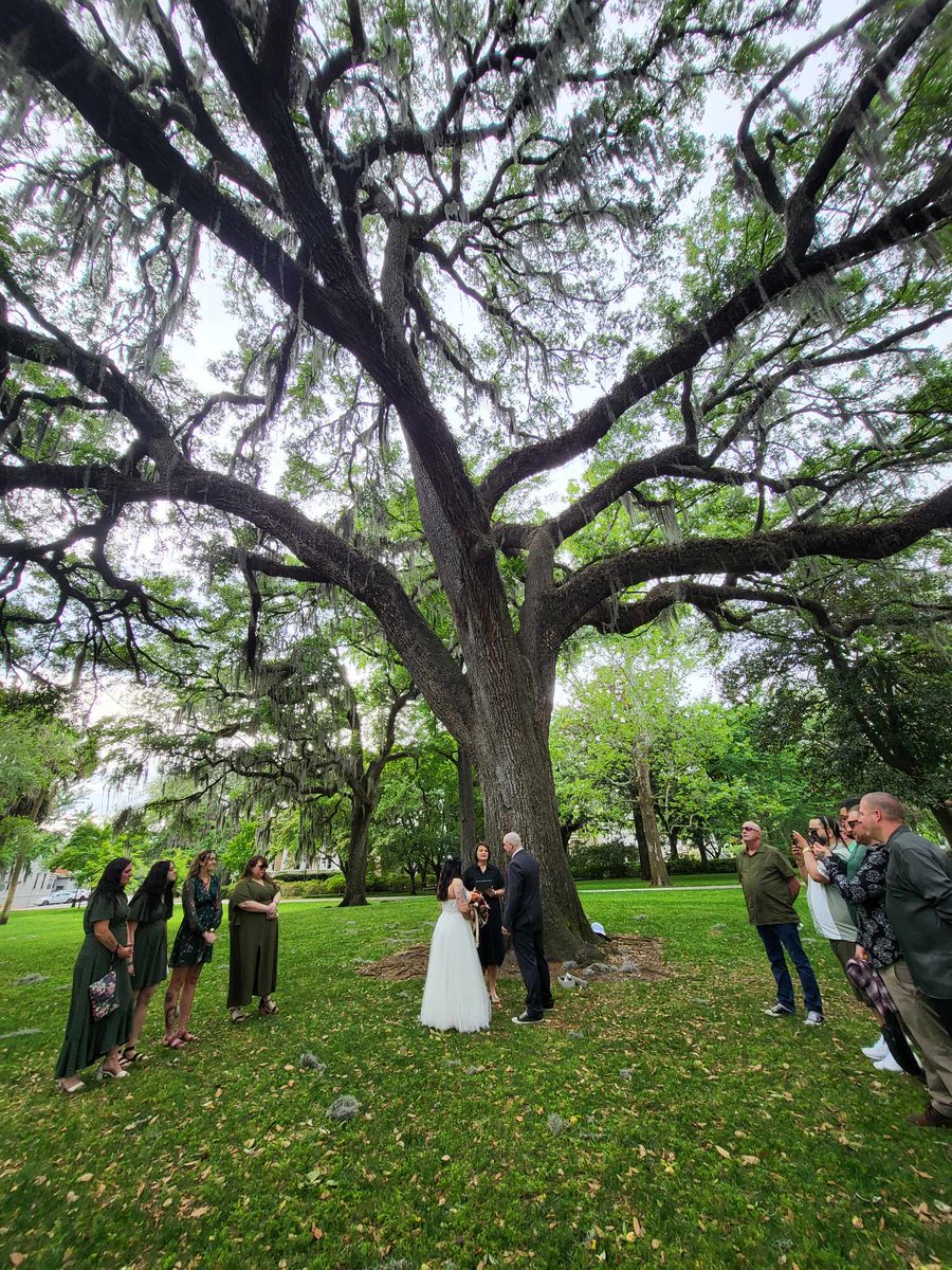 _jlock's tweet photo. I got married 🤯 https://t.co/fav4BgNJj6