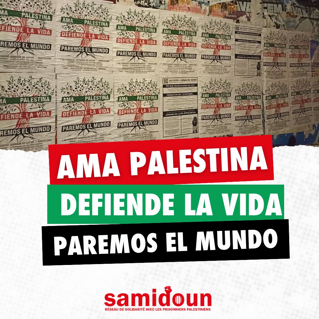 🇵🇸Reiteramos su derecho a protestar y movilizarse en las formas que consideren necesarias hasta acabar con la complicidad del Estado Español en el genocidio palestino. ¡Libertad a Palestina! ¡Libertas a sus presxs! ¡Viva la resistencia! ✊🍉 #7FPalestina #FreePalestine