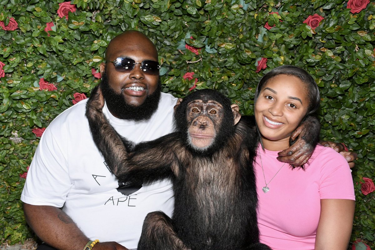 Kdajahm_'s tweet photo. 😂😍🐒. https://t.co/Q0HQtXH3gF