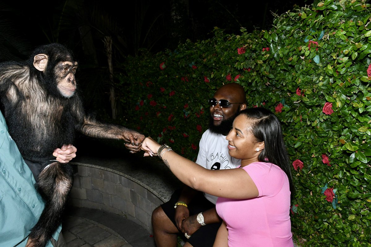 Kdajahm_'s tweet photo. 😂😍🐒. https://t.co/Q0HQtXH3gF