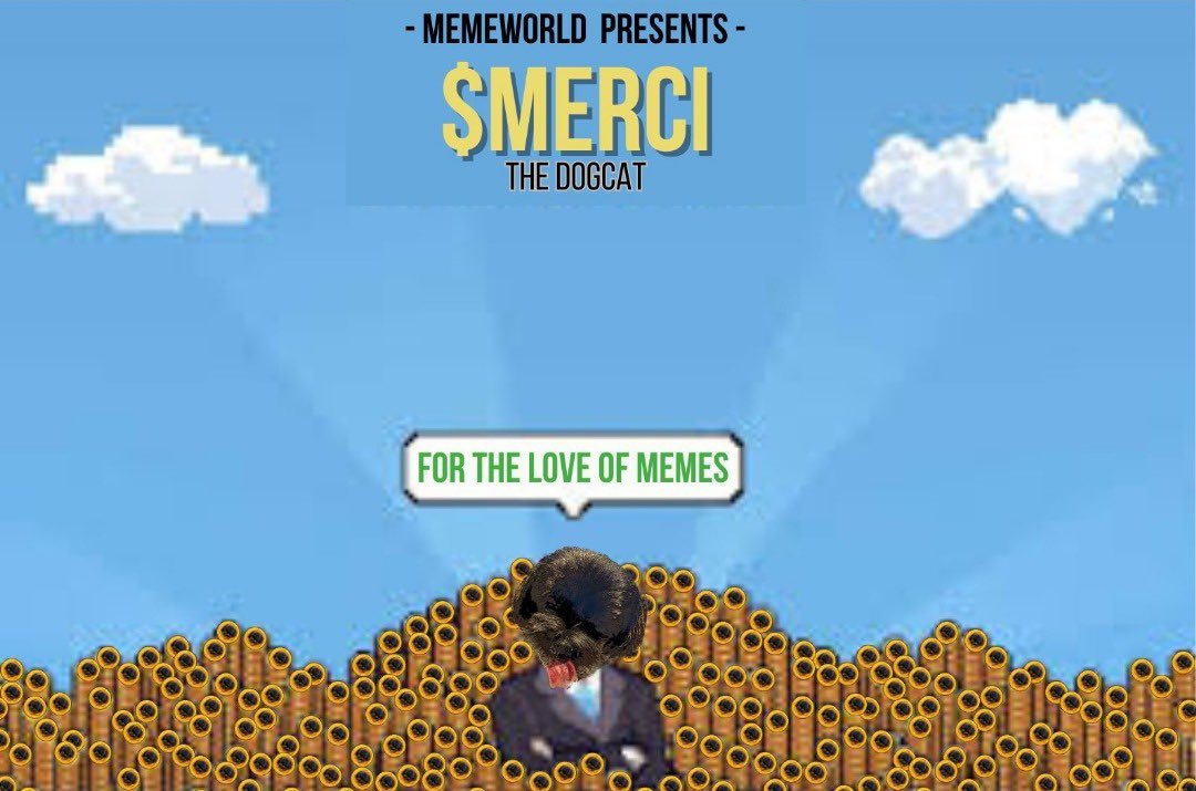 Mercilanaa's tweet photo. @CryptoWendyO TAKE A LOOK AT $MERCI CAUSE THIS DOGCAT IS GOING FROM RAGS TO BITCHES 🚀 #MEMEWORLD #SOLANAMEME https://t.co/BQ95WAfrp4