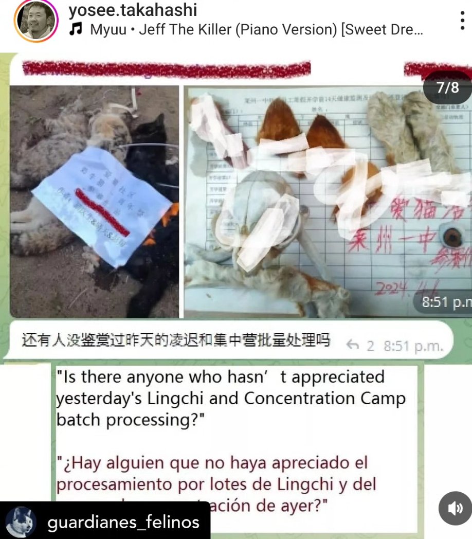 #chinacats
#chinatravels
#hainanexpo2024
Calling for China to enact laws banning animal cruelty