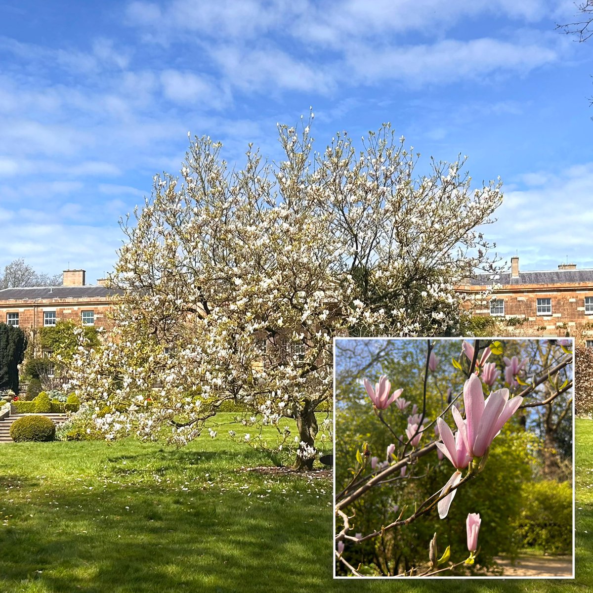 THM (@bstthm) on Twitter photo Different day, different season, same burst of colour <a href="/HillsCastle/">Hillsborough Castle and Gardens</a> <a href="/HRP_palaces/">Historic Royal Palaces</a> #worthavisit Different day, different season, same burst of colour <a href="/HillsCastle/">Hillsborough Castle and Gardens</a> <a href="/HRP_palaces/">Historic Royal Palaces</a> #worthavisit