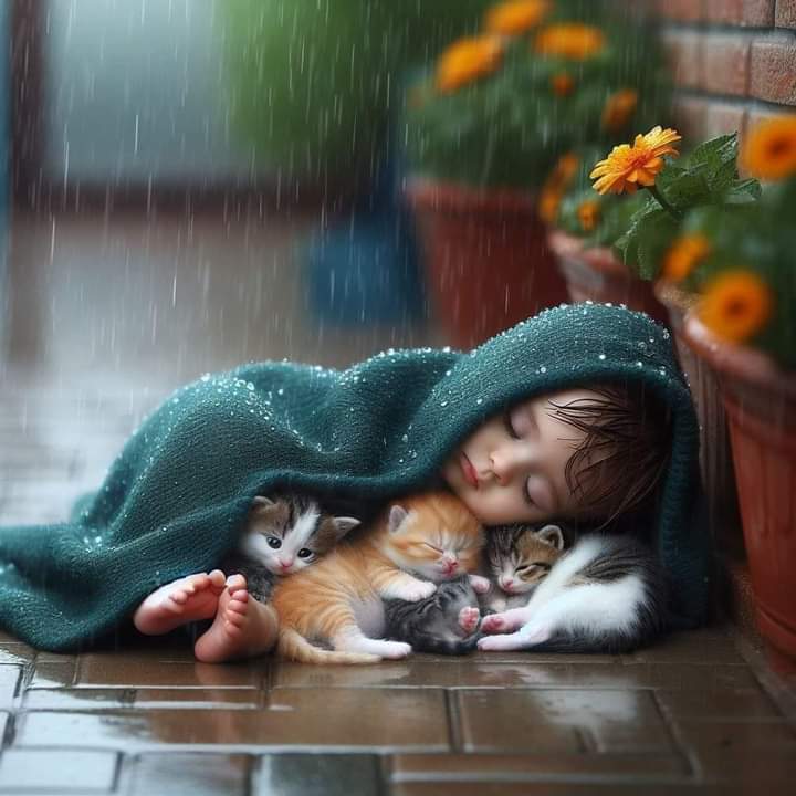 Urooj fatima (@uroojfatima125) on Twitter photo 