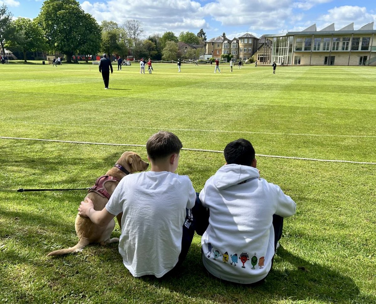 SFSOxford's tweet image. Mayfield’s newest recruit, Ruby, enjoyed watching today’s ‘Big Bash’ cricket with the boys! #iloveboarding #boardingcommunity #dogsofinstagram