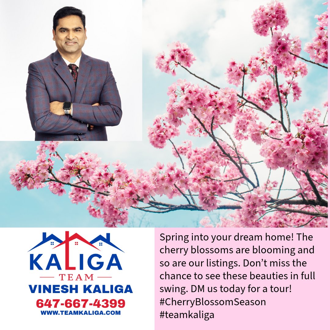 Cherry Blossom Season Paints the Town Pink in Stunning Display of Beauty and Renewal #teamkaliga

#RealEstate #PropertyTrends #HousingMarket #RealEstateInvesting #PropertyInvestment #MarketUpdate #DailyMarketStats #RealEstateTrends #TodayInRealEstate