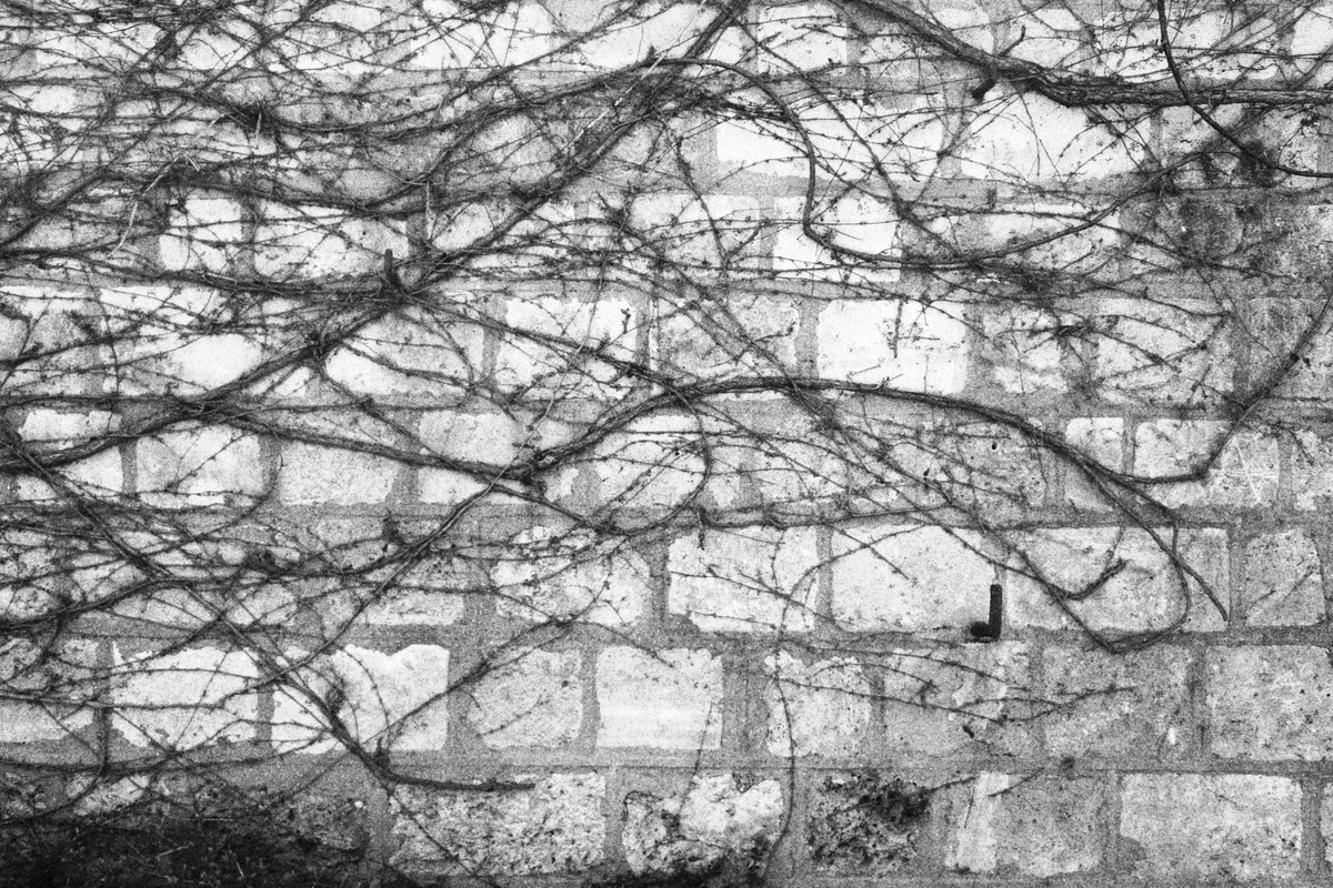 Le murs des fédérés
#PereLachaise