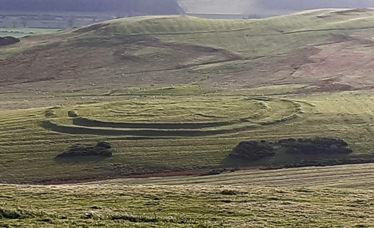 Just for a change, I led a guided walk in the Breamish Valley today. We explored the prehistoric archaeology, spotted curlew, sky lark and meadow pipit up on the grassy hills. Cochrane Pike (335 metres) was our high point, finishing @ingramcafe for excellent coffee and cake.