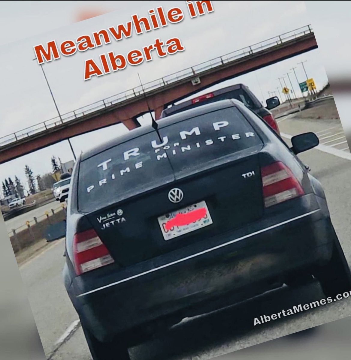 The whole world loves Trump.