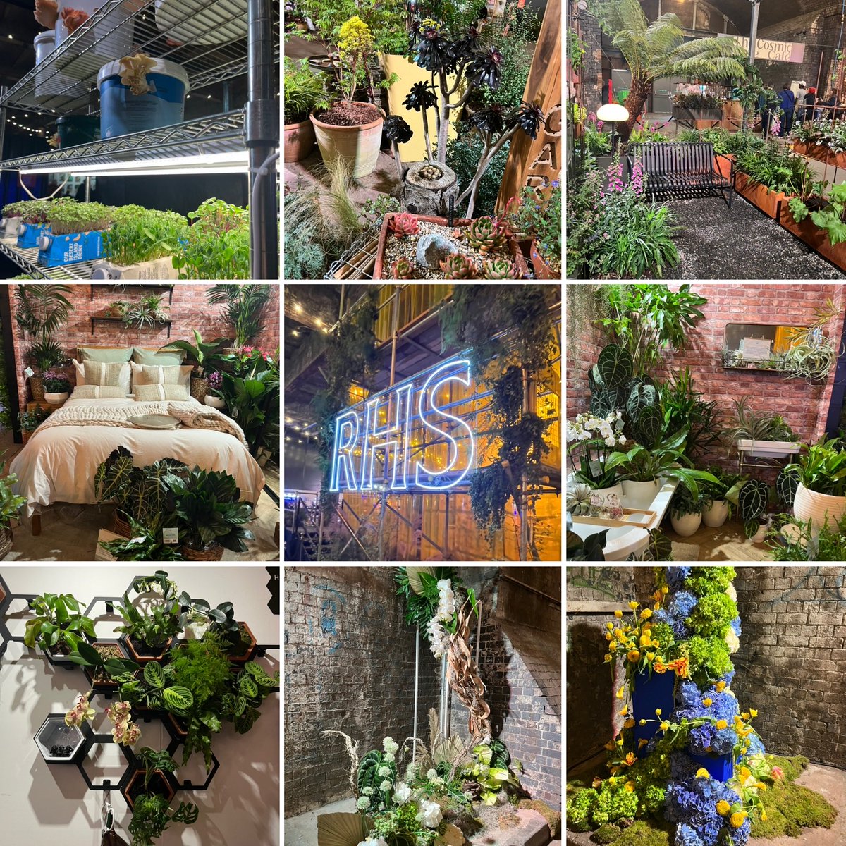 We visited the new ⁦@The_RHS⁩ Urban show today. Some interesting displays and ideas for small gardens and balconies and lots of advice on how not to kill our houseplants! ⁦@nwibofficial1⁩