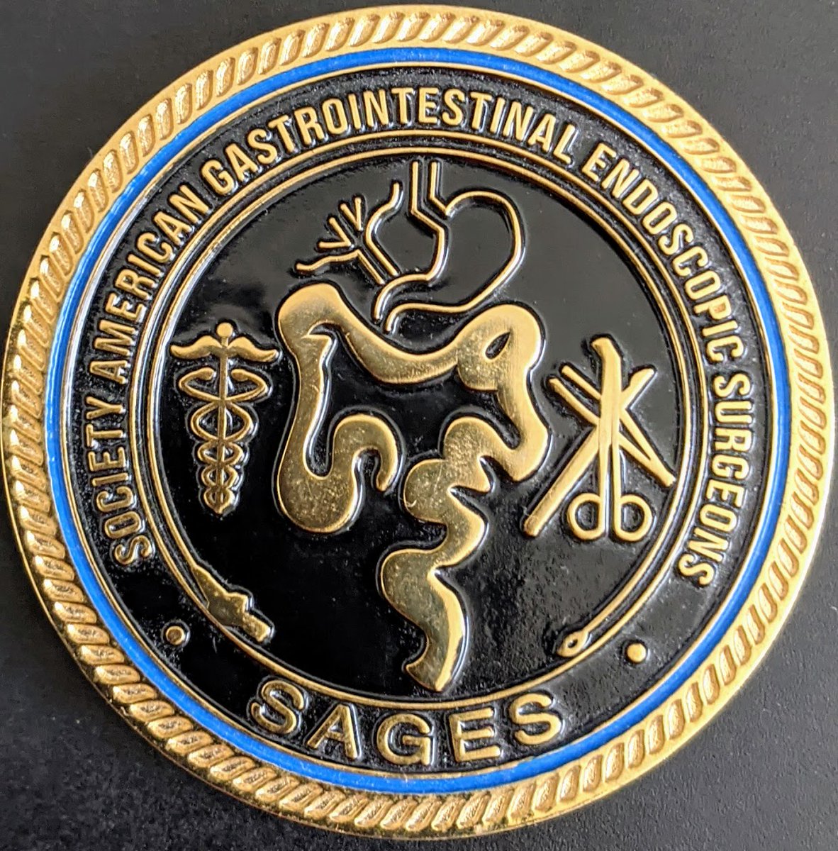 Matthew Davis has recieved a #SAGES2024 Recognition of Excellence Coin from Matt Kroh for For an outstanding job putting together the Bariatric and Metabolic Surgery Mastery Program Module in short order and delivering a fantastic training tool! Thank you!