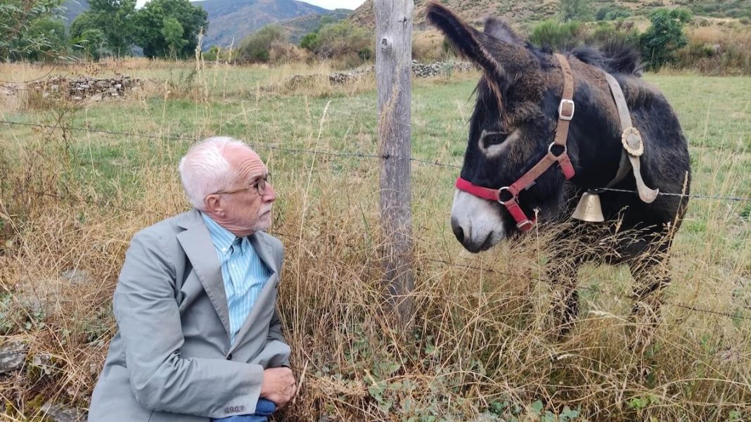 “Hay que ser zoquetes para no ver lo que nos pasa; el ecologismo más poderoso es el de los campesinos". Quién lo dice es el leonés Luis Mateo Díez, que recibe el martes el #PremioCervantes

viajarymuchomas.com/hay-que-ser-zo…

📷 <a href="/AgenciaIcal/">Agencia Ical</a>
#DiadeCastillayLeón