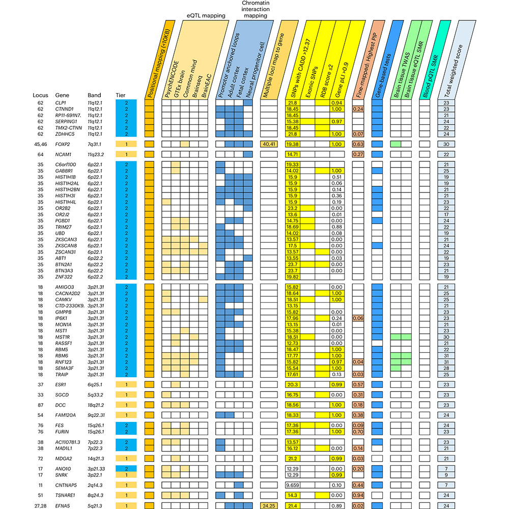 Multi-ancestry genome-wide analyses reported in @NatureGenet identify 95 loci associated with post-traumatic stress disorder and implicate candidate genes, pathways and neurobiological systems underlying its pathophysiology. go.nature.com/49PeEAV