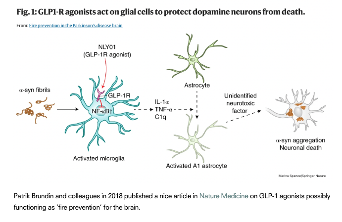 Are GLP-1 agonists 'fire prevention for the brain?' In 2018 Lena Brundin, Liza Bergkvist & @BrundinPatrik published this in News and Views in @NatureMedicine and it may be time for us to re-read their thoughts in the wakeof the @NEJM on lixisenatide for Parkinson's. The power of