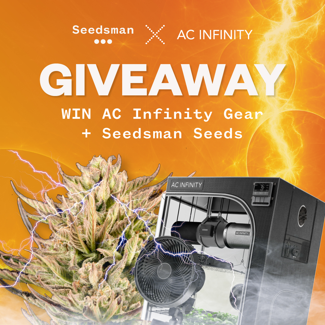 🚨 LAST CHANCE ALERT 🚨 Today's the day, folks! Our giveaway for a FULL AC INFINITY KIT and $250 to spend at SEEDSMAN is wrapping up. Good luck to all participants! 🍀 🔗 seedsman.com/us-en/420-comp… #seedsmanseeds #acinfinity | ⚠️ ONLY for US customers.