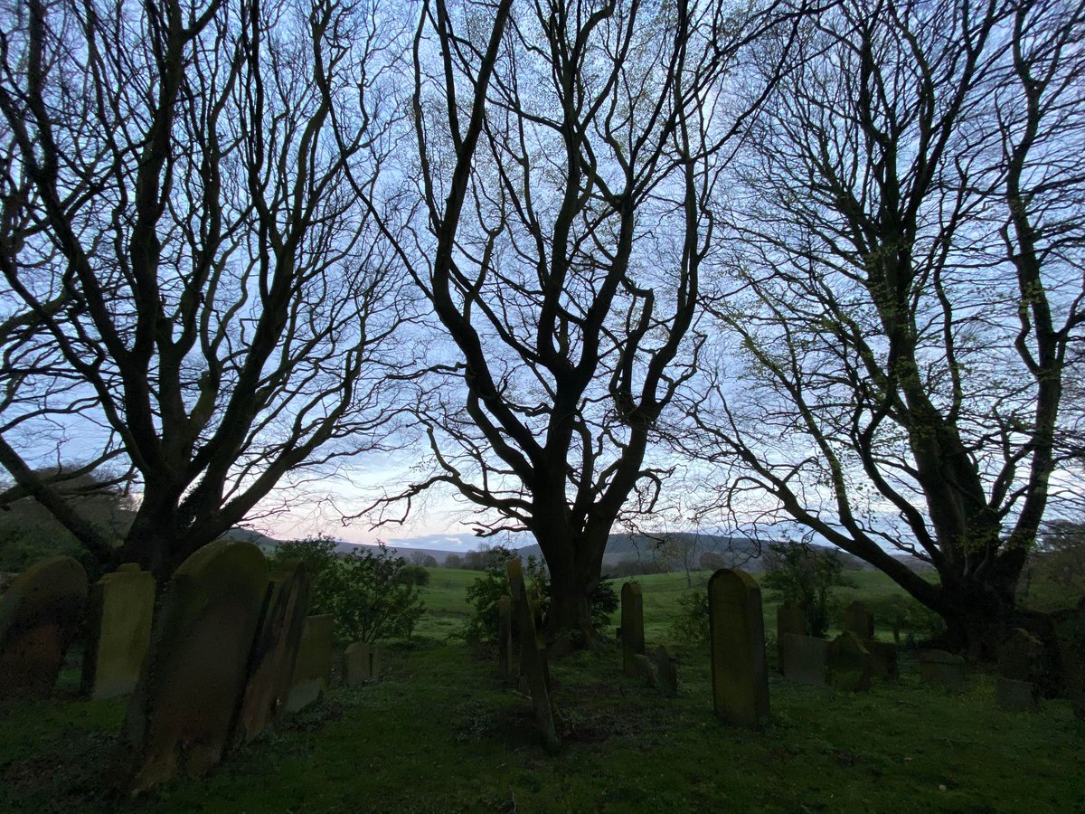 Bit of the old crepuscular wandering around Whorlton Old Church last night.