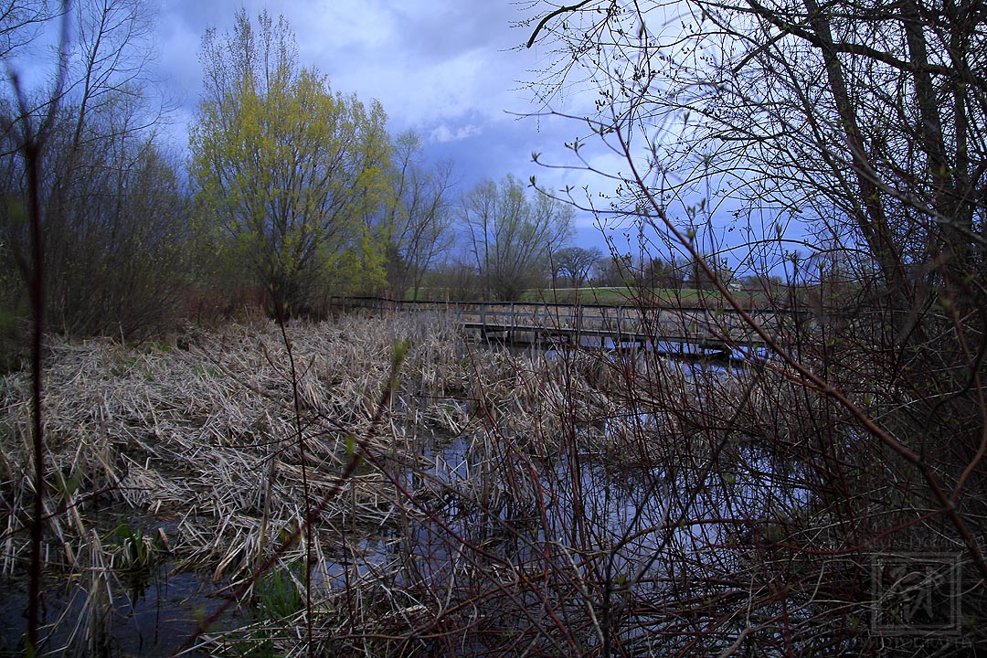 Looking back at the Bridge, at the #Cambridge Lake District Preserve. (4-16-2024) #KevinPochronPhotography #kjpphotography #Canon #Canon60D #Photography #NaturePhotography #Nature #water #trees #marsh #sky #Clouds #spring #Wisconsin #Storm #cattails