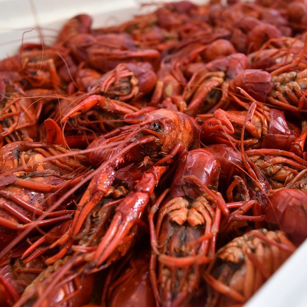 We’re fixing to destroy these bad boys!

#Louisiana #crawfish #southernlife
