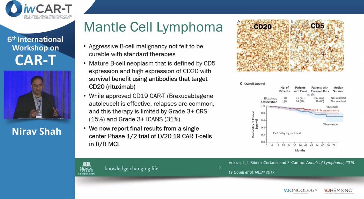 VJHemOnc's tweet photo. Nirav Shah presents bispecific CAR20.19 T-cells in #MCL
 
Stay informed about the latest advancements in #lymphoma therapy! 

#iwCART24 @VJHemOnc #iwCART #CART #CellularTherapies #Lymsm https://t.co/rJgcNpeygm
