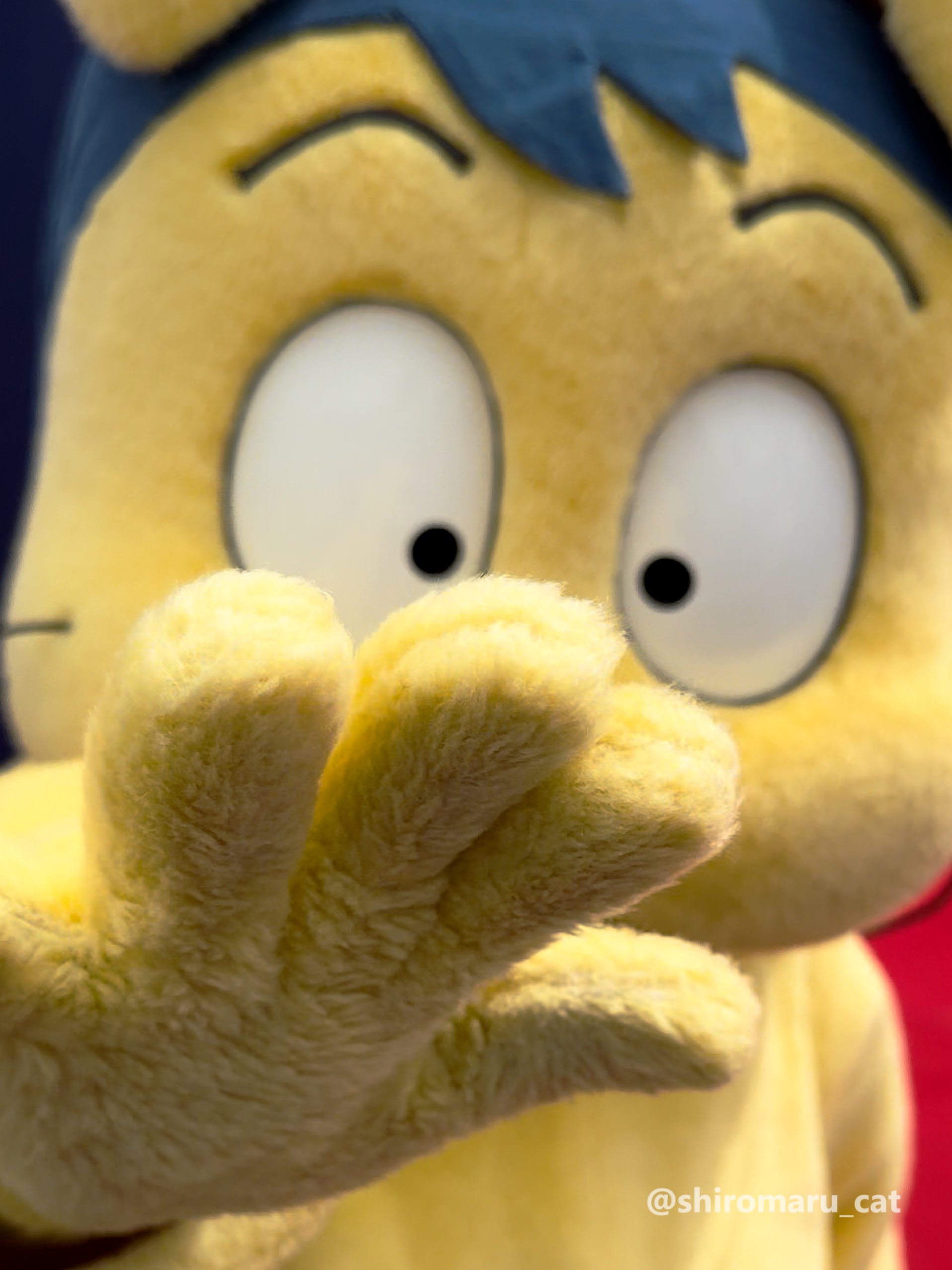 ヘムヘム - Search / X