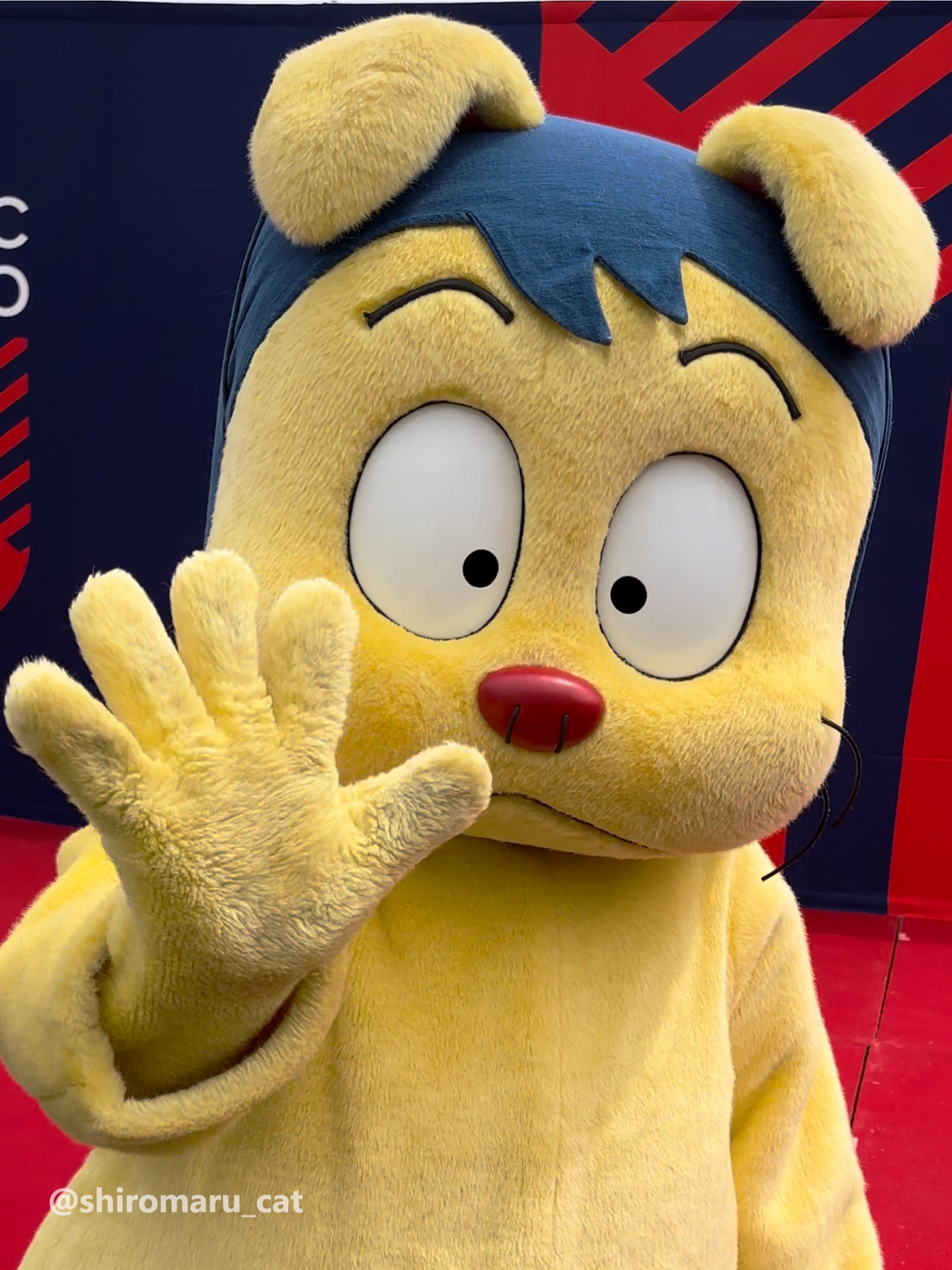 ヘムヘム② WMNS) PUMA Orkid B&W 'Black Gray' 384089-02