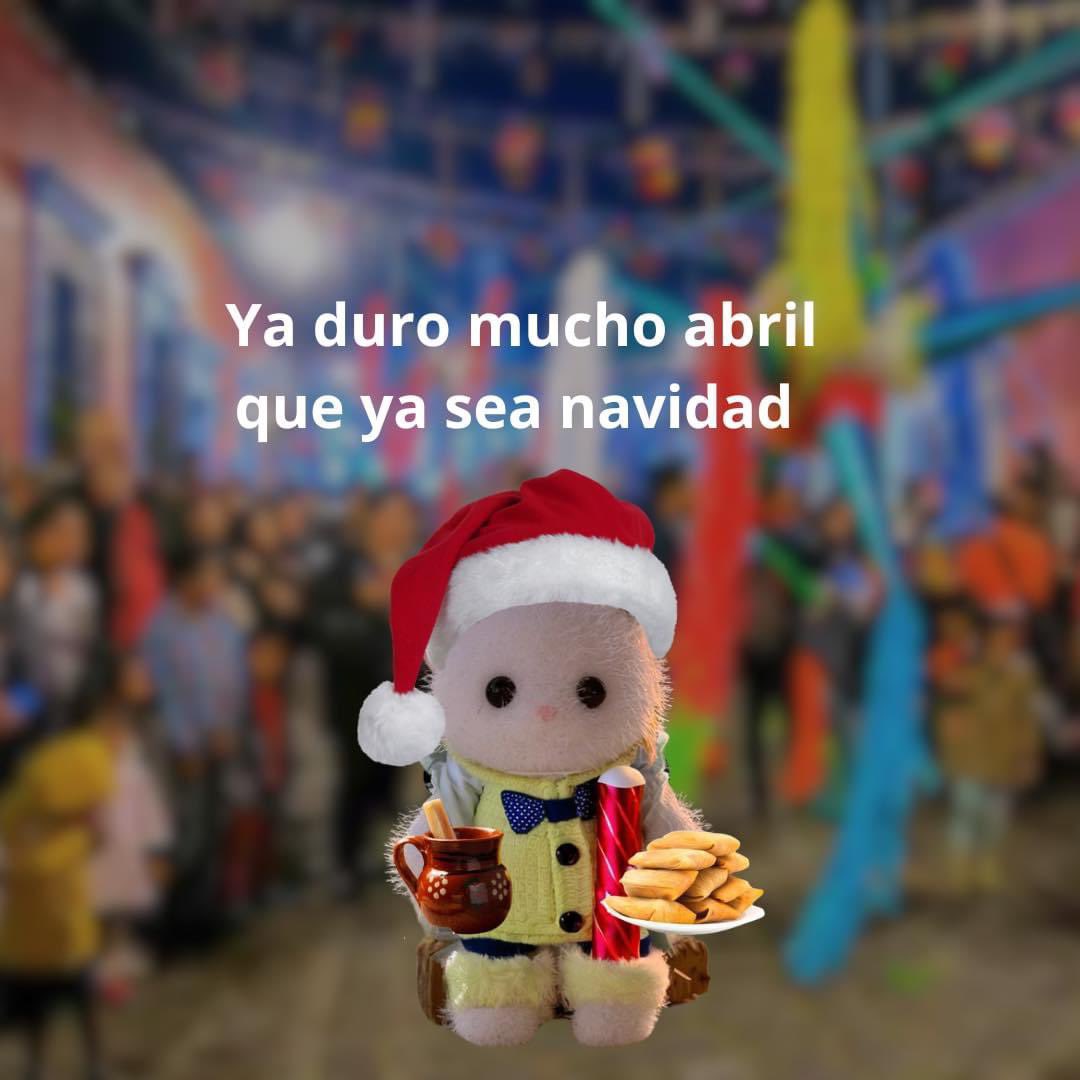 MerGarza's tweet photo. Buenos días ☕️ https://t.co/IhMMj4cGoz