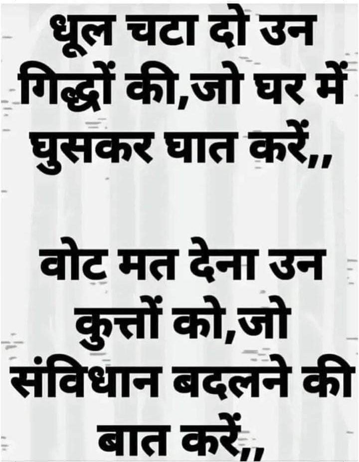 अब की बार 🎃🎃 संतरे तड़ीपार‼️