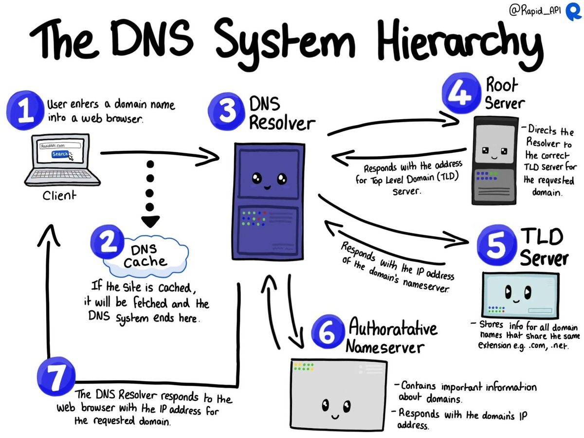 The DNS System Hierarchy