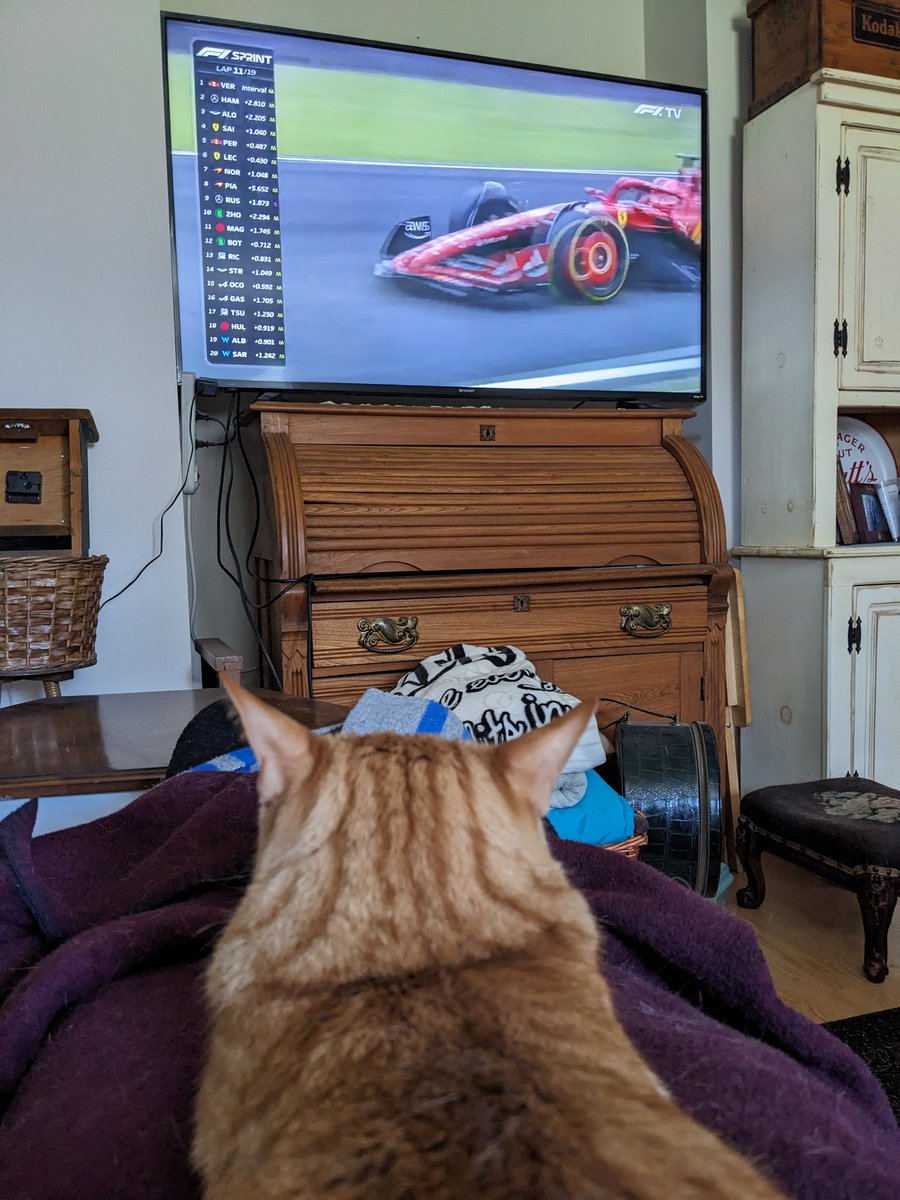 JodesJots's tweet photo. Angus is enjoying the Sprint! 
#LifeWithAngus
#F1Sprint https://t.co/ZUq9Fr5MIn
