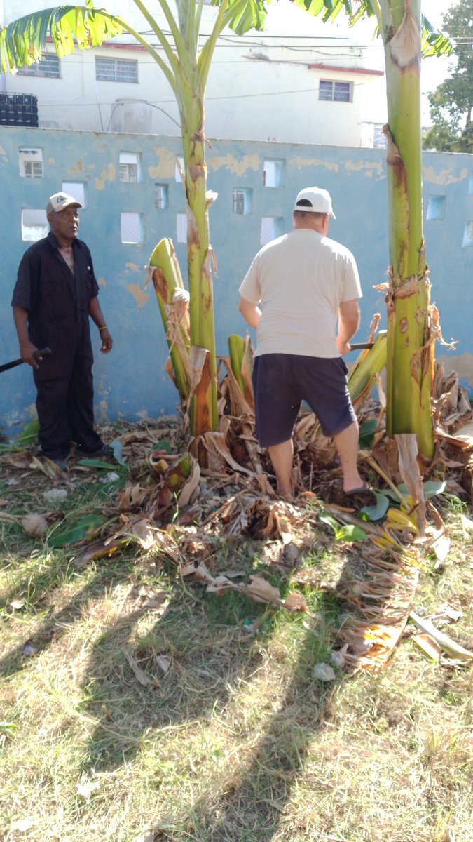 Trabajo voluntario convocado por las organizaciones de masas en mi área de residencia. Marianao entre 110 y 112. #CDRCuba @AsambleaCuba @cdr_cuba