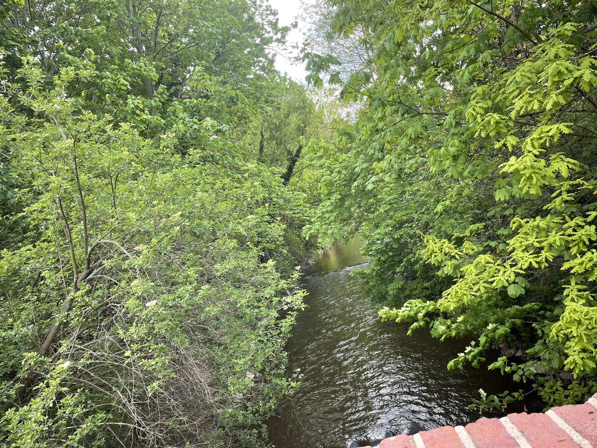Amel630187's tweet photo. По крайней мере, в Праге очень красиво https://t.co/lXAodUqaZM