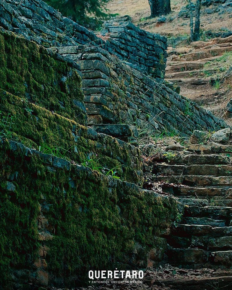 En uno de los puntos más altos del municipio de #SanJoaquín, en #Querétaro y rodeada por majestuosas barrancas, la zona arqueológica de Ranas da testimonio de un esplendor de diez siglos. 🌿✨

¡Enamórate de sus construcciones e #historia! 🤩