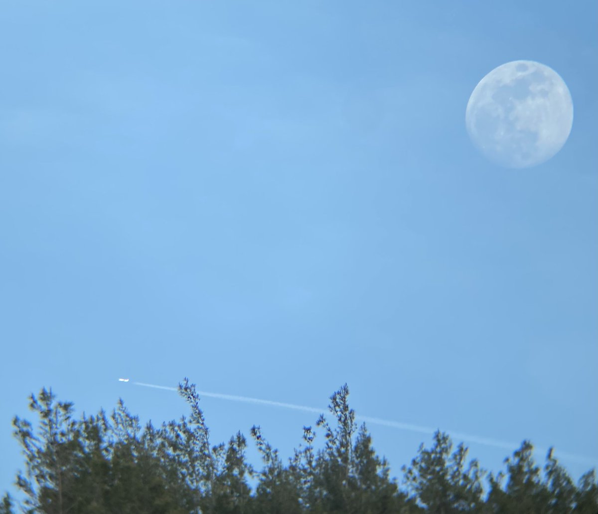 Denk gelmeye çalışılmış denk gelişler 🌕