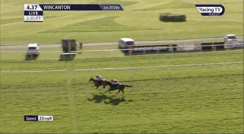 FinnDogTips's tweet image. NAP PISSES IN! 🚀

Last 12 NAP’s :

🥇🥇🥇🥇🥇🥇🥉🥇🥇🥉🥇🥇