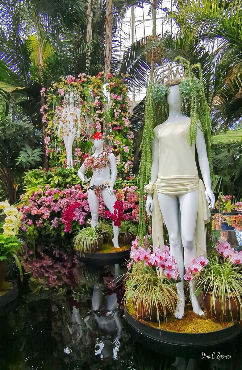 The Orchid Show: Florals in Fashion at the New York Botanical  Garden was incredible! The conservatory was a showcase full of rare orchid specimens and awash with creativity. 

#Orchids #NewYork #Flowers #BotanicalGarden #LearnEverywhere
#Beauty #Fashion #NeverSettle #TheBronx