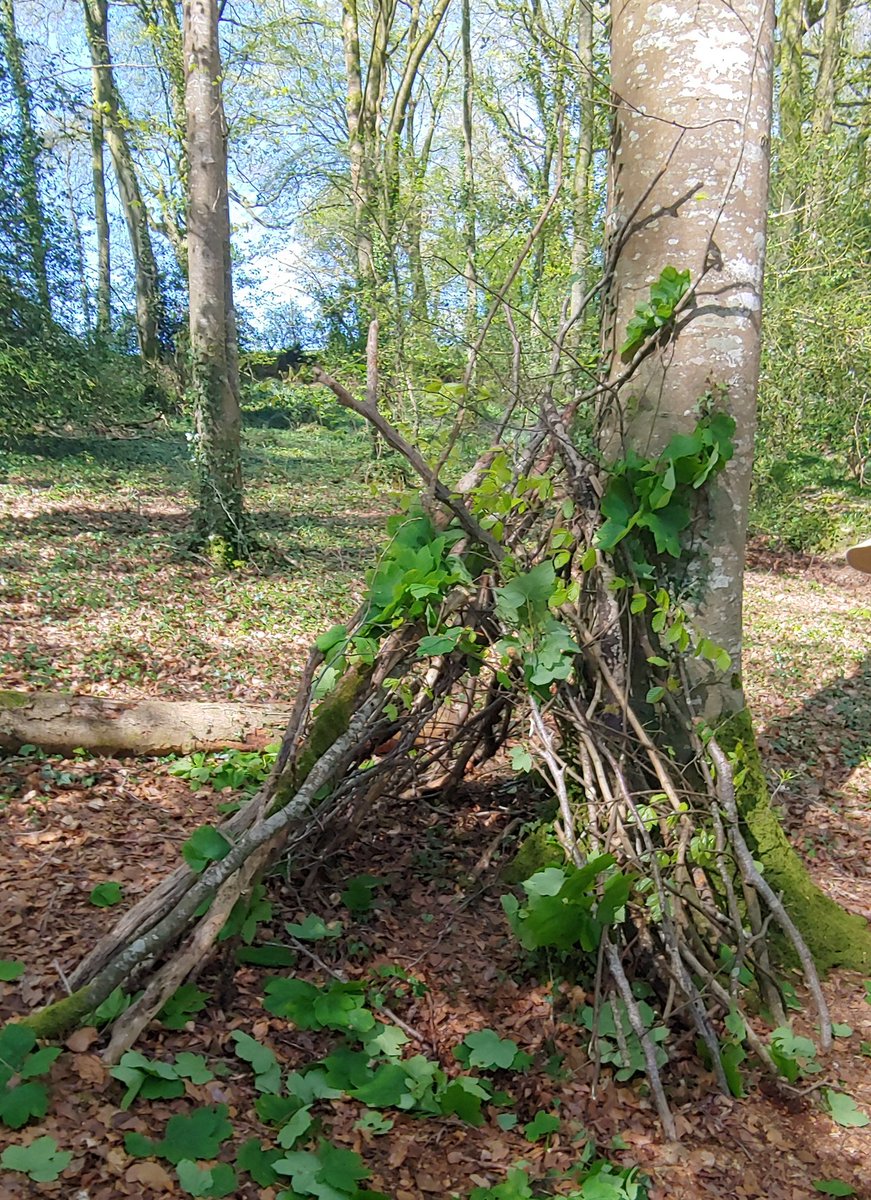 Making dens is much more satisfying than housework... (Think I'll keep making them even when my kids grow up and think it's no longer cool). 😂